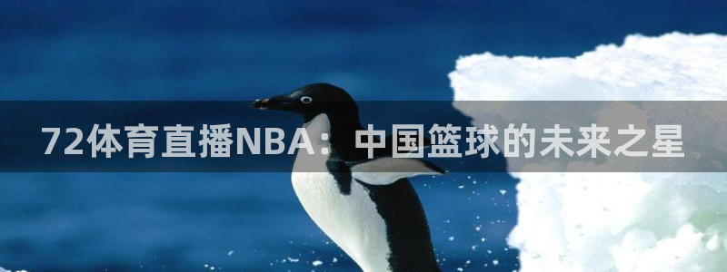 72体育直播NBA：中国篮球的未来之星