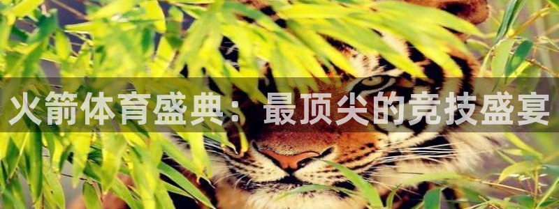 火箭体育盛典：最顶尖的竞技盛宴