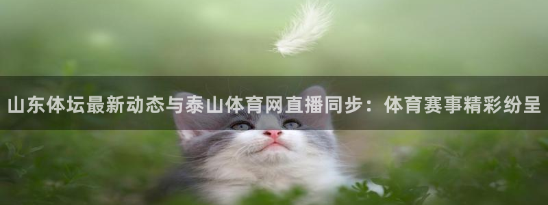 山东体坛最新动态与泰山体育网直播同步：体育赛事精彩纷呈