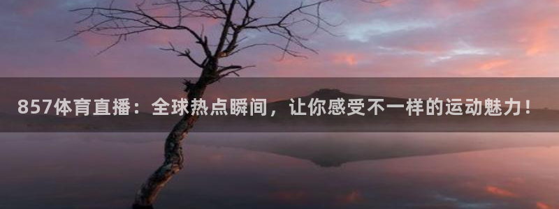 857体育直播：全球热点瞬间，让你感受不一样的运动魅力！