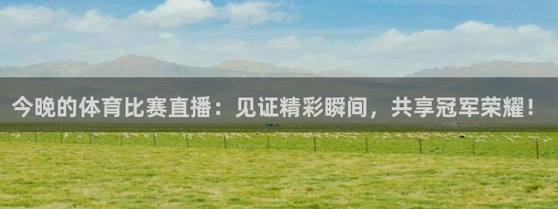 今晚的体育比赛直播：见证精彩瞬间，共享冠军荣耀！