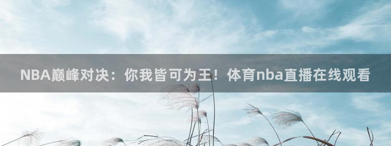 NBA巅峰对决：你我皆可为王！体育nba直播在线观看